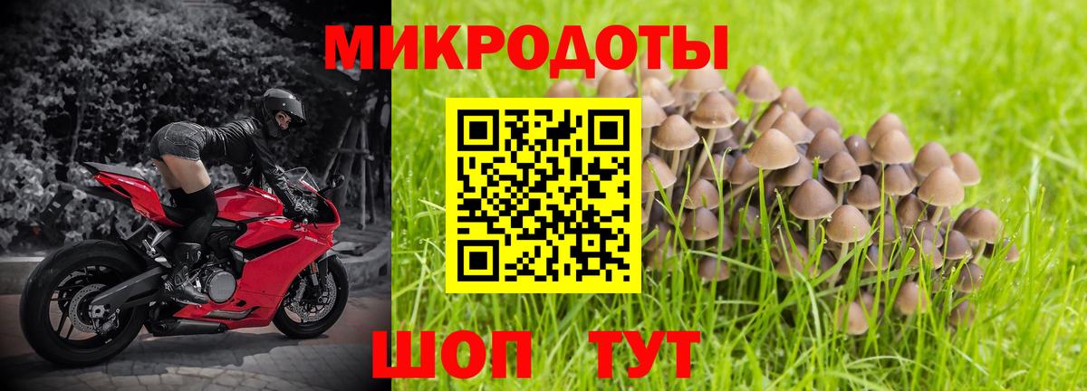 Галлюциногенные грибы мицелий  Вход с VPN  Псилоцибиновые грибы Psilocybine cubensis  Ржев 